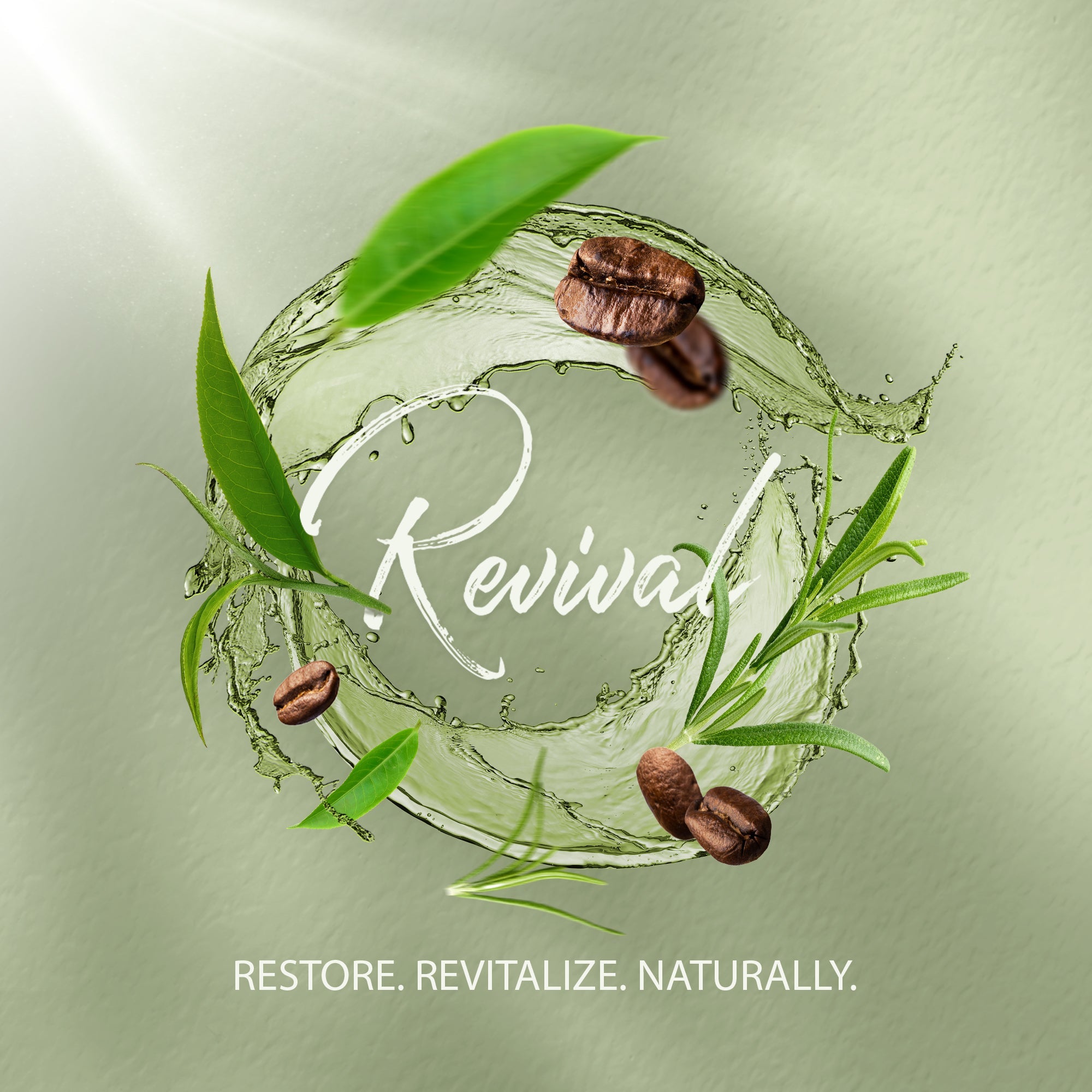 S|C 360 Revival Collection